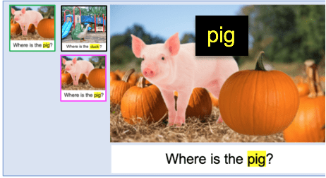 pig with T2L feature